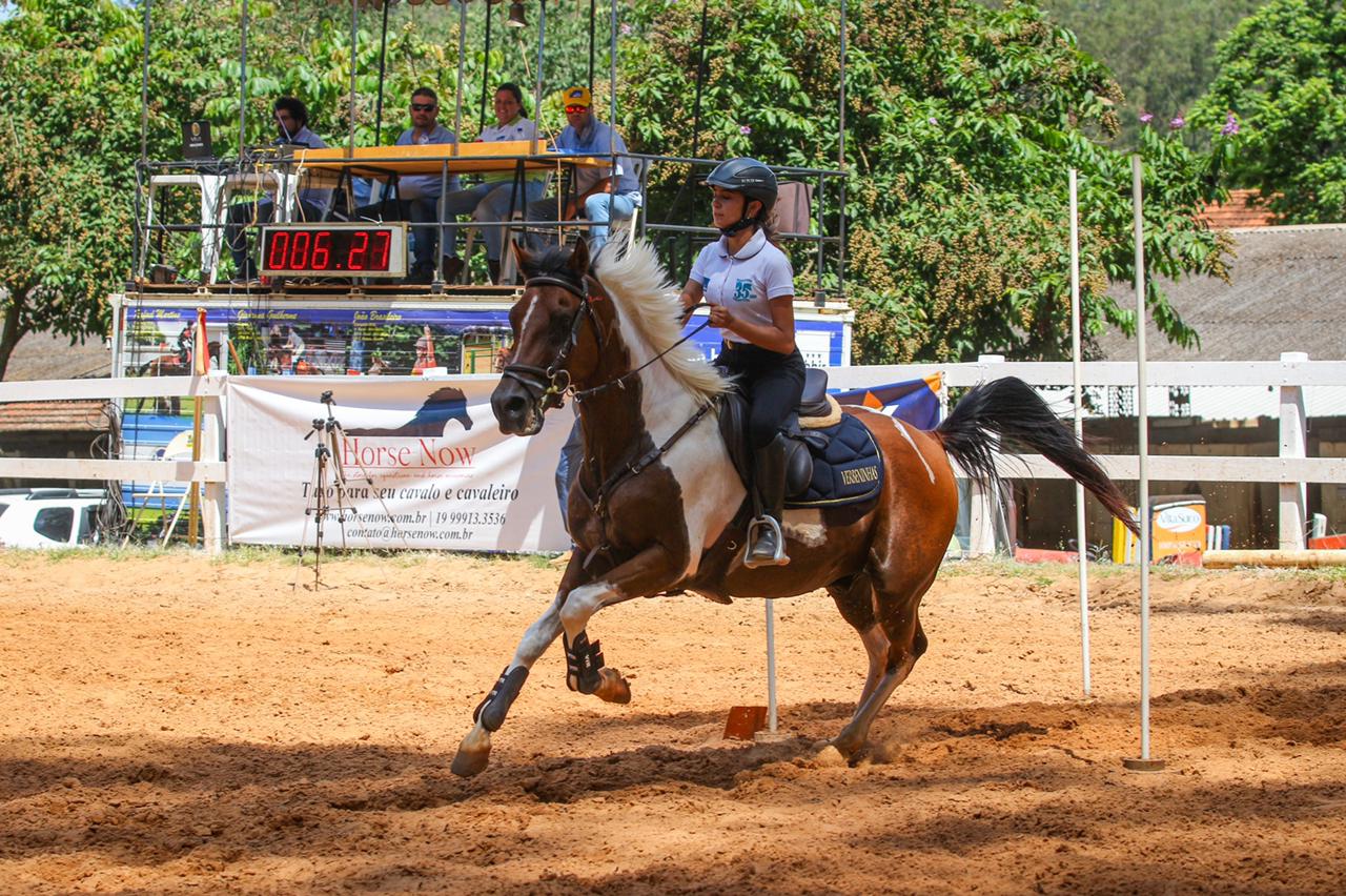 Cavalo de salto. 