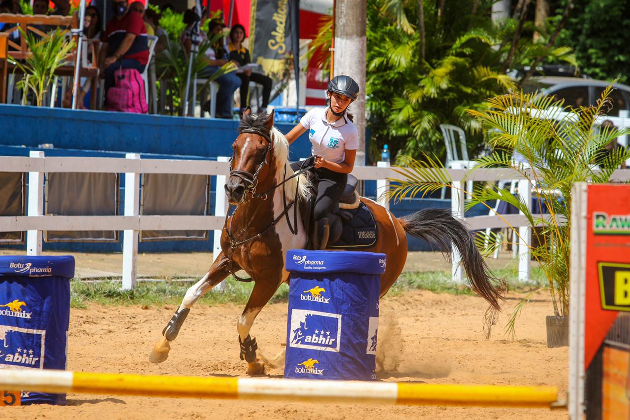 Cavalo Árabe - salto e hipismo rural