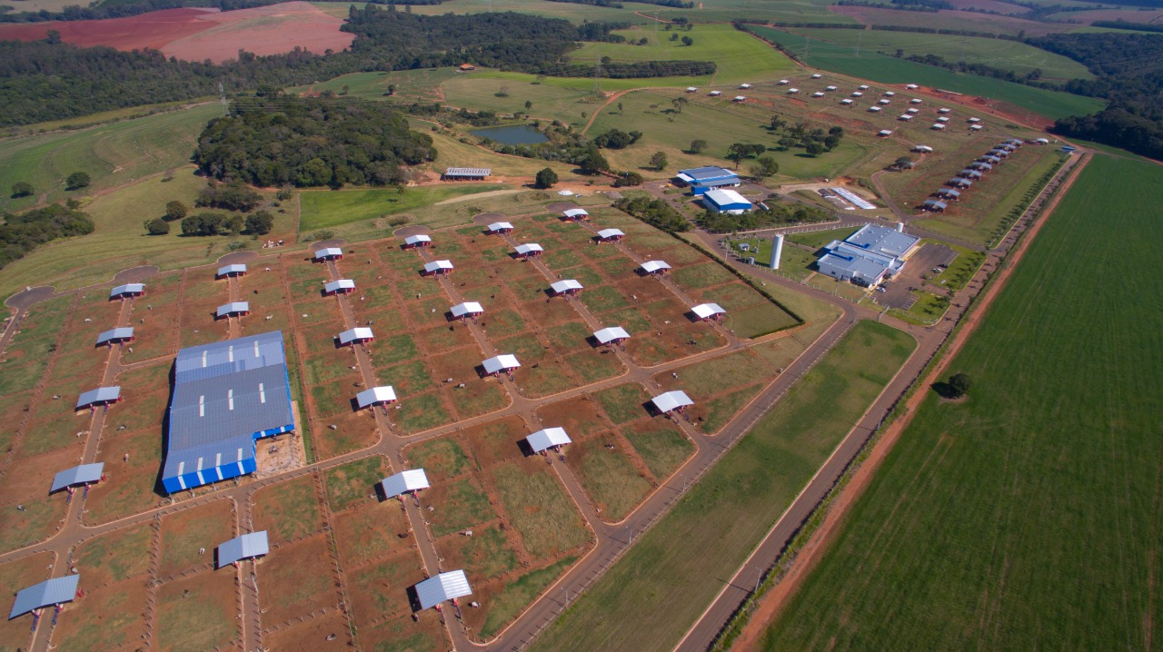 Central Bela Vista cresce 350% em quatro anos e prevê expansão ainda maior em 2021