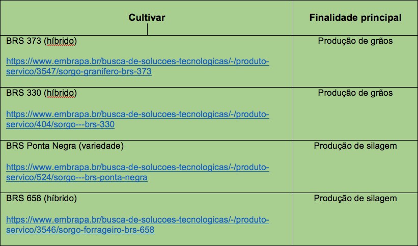 Cultivares da Embrapa indicadas para o Semiárido