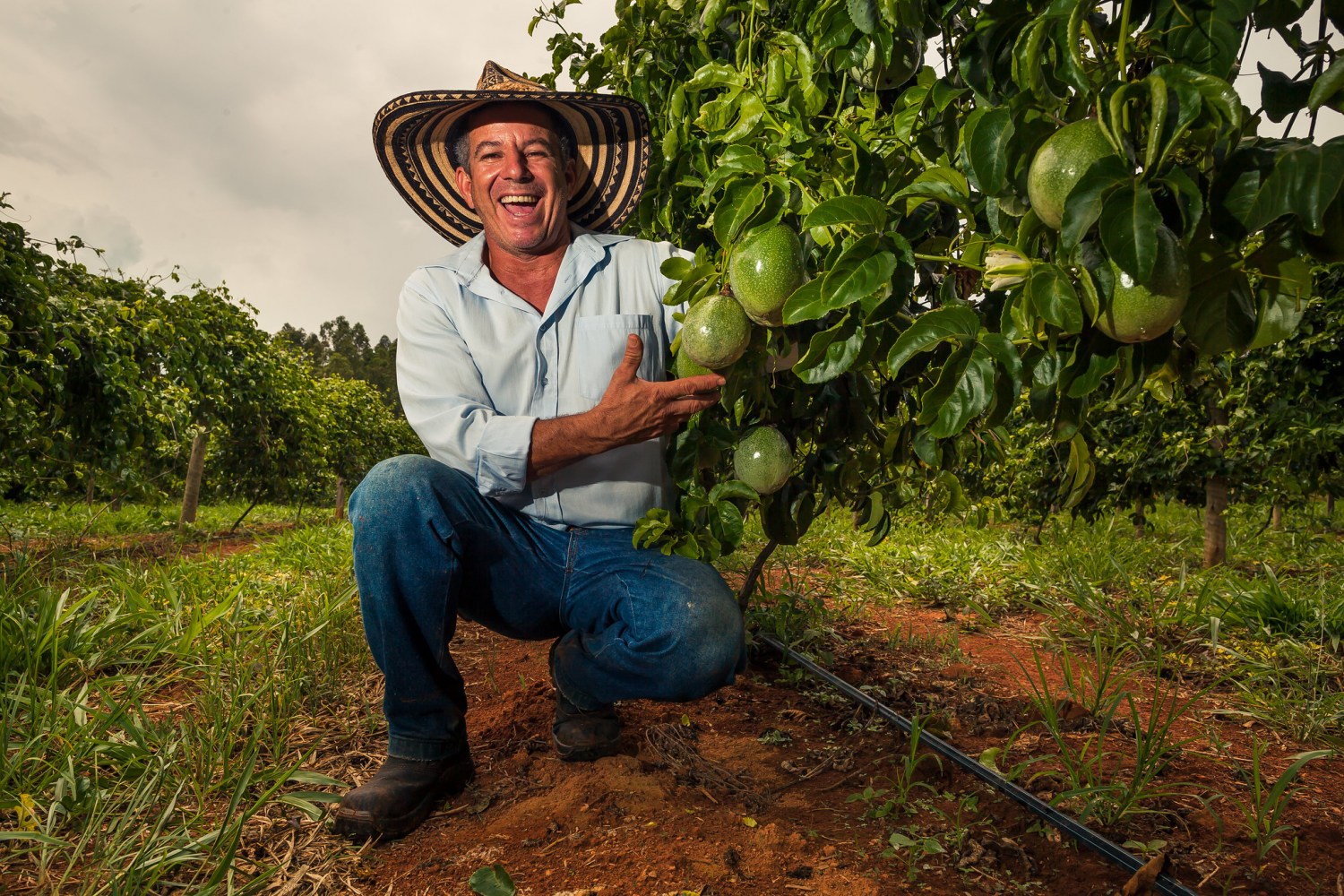 Do Rural a Mesa - produtor de maracuja