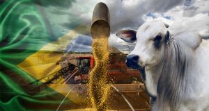 Entenda os desafios do Brasil como player mundial do Agro