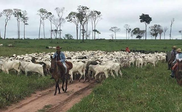 Fazenda Nova Santana