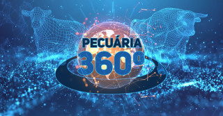 São Paulo sediará evento de negócios em pecuária em novembro