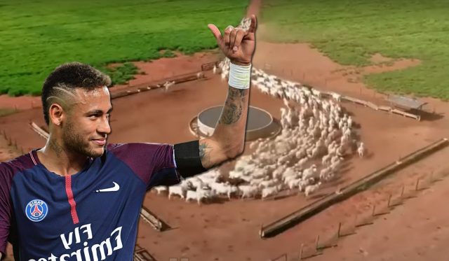 Neymar compra fazenda