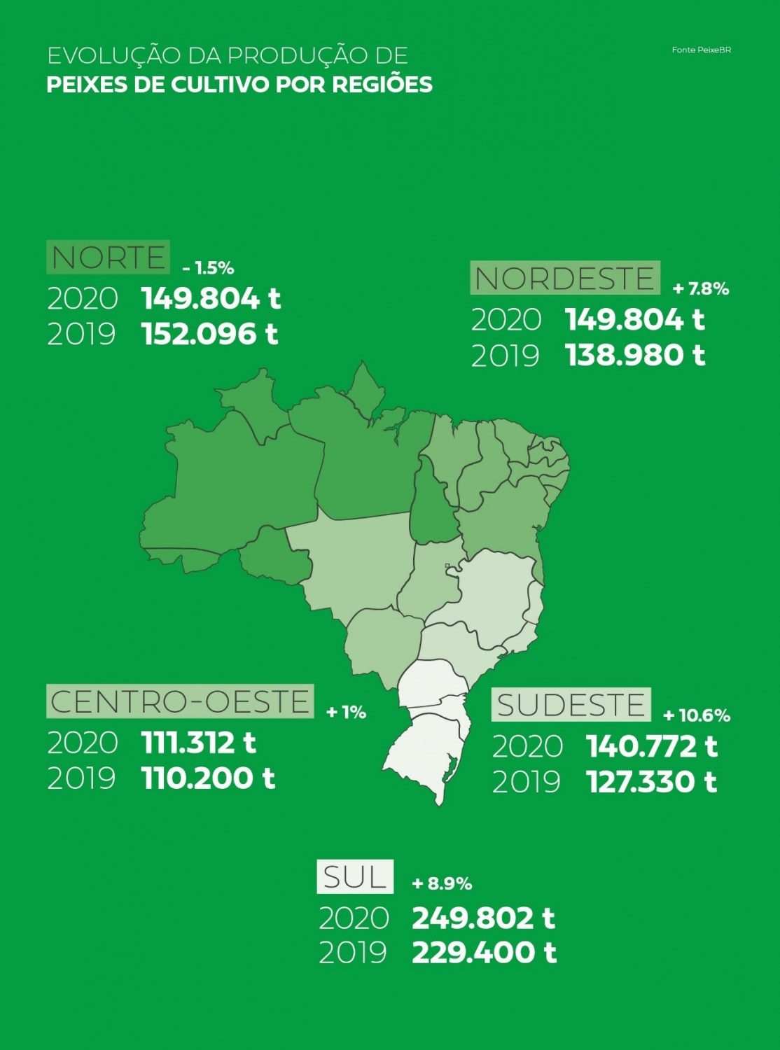 PeixeBR-Infografico-sul-lidera-producao-por-regioes-e-ja-representa-31.1-da-piscicultura-brasileira-foto-divulgacao