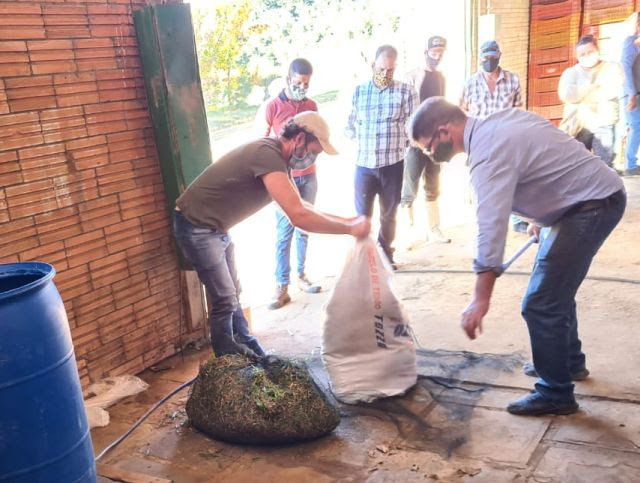 Sacos cheios de biomassa verde são usados no preparo do fertilizante líquido