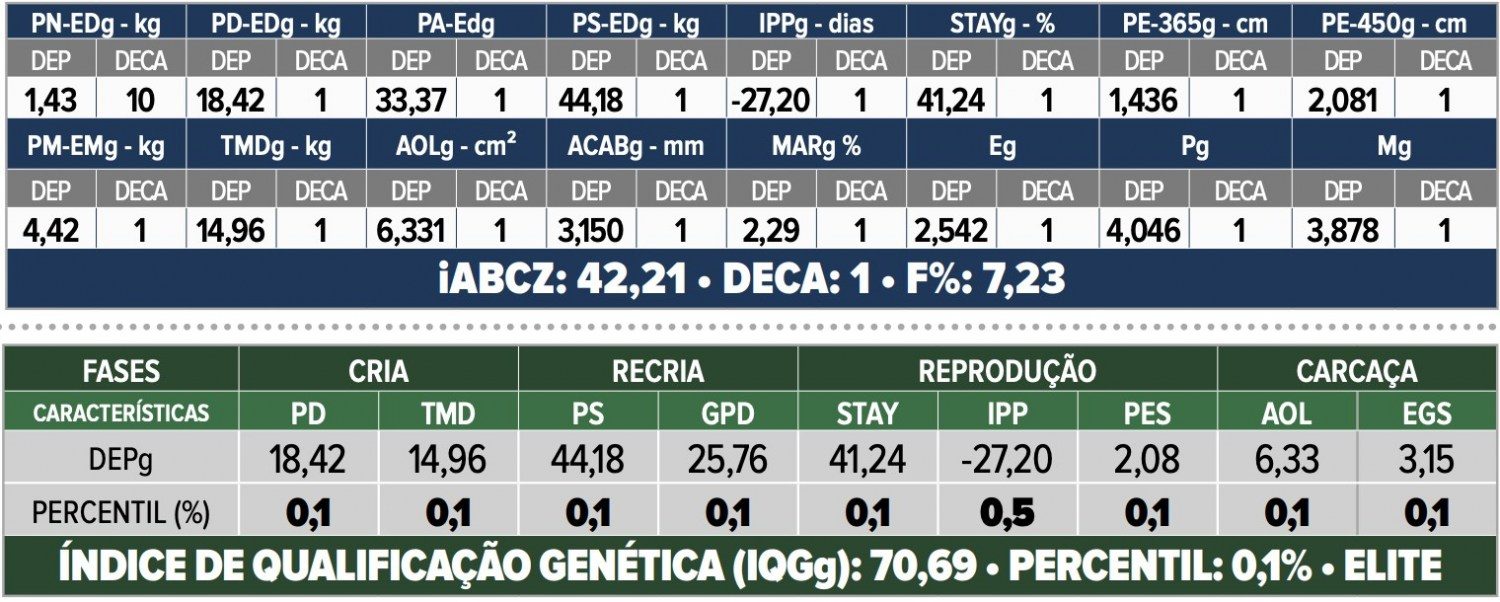 touro nelore F19 FIV da IPB -- IPB 6553 -avaliacao genetica