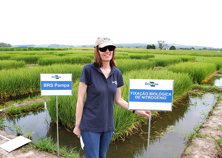 210727_BactériasInoculaçãoArroz_Embrapa_pesquisadora e plantação_2