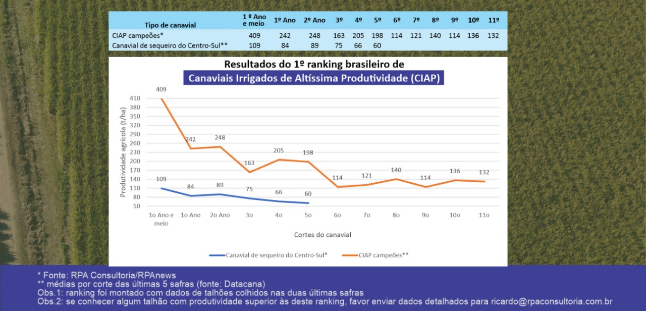 Canaviais Irrigados de Altíssima Produtividade (CIAP).