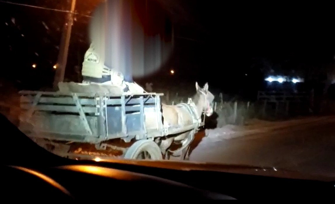 Charrete com burro é flagrada com 300kg de maconha