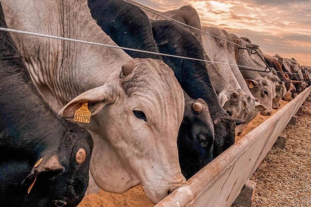 Inversões térmicas e doenças respiratórias são um desafio a mais no confinamento