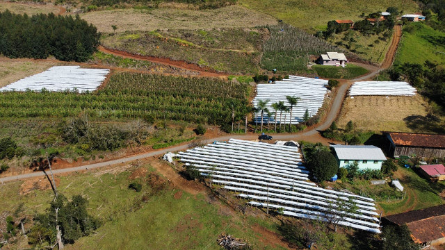 Estufas para produção de morango semi-hidropônico na propriedade dos Fritzen