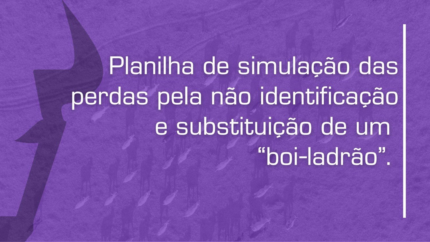 uma planilha para simulação das perdas pela não identificação e substituição de um “boi ladrão