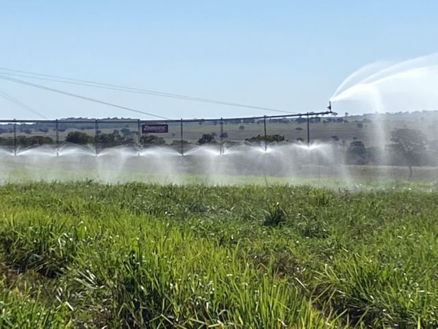 agropassion-15-jun-2021--62- agropassion-15-jun-2021--62-
