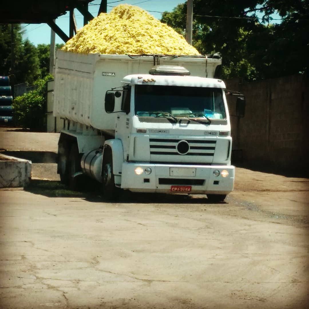 caminhao com polpa citrica