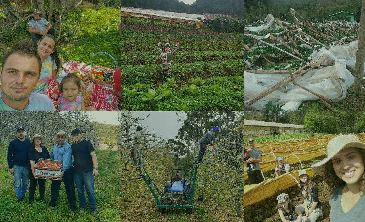 dia do agricultor - historias de superacao