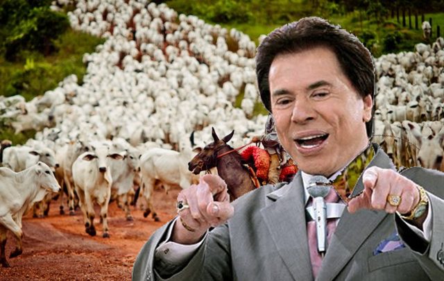 fazendas de silvio santos