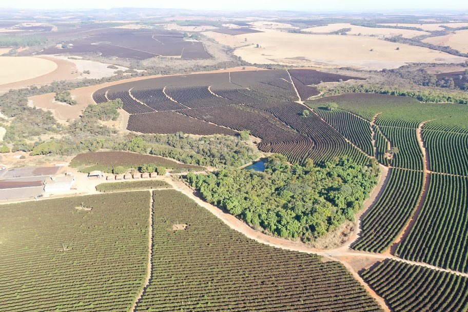 foto drone cafezais geada no sul de minas