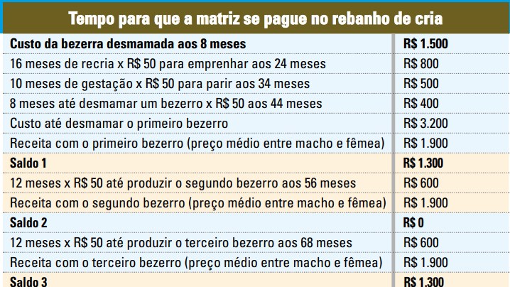 tempo para que a matriz se pague em um rebanho de cria