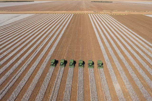 Foto: SLC Agrícola