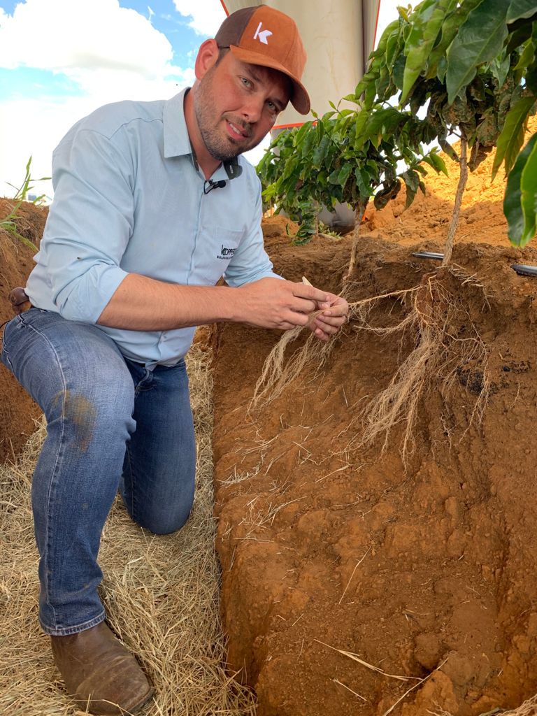 Manejo biológico favorece a produção de café especiais e certificados