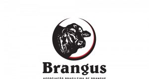 Associação Brasileira de Brangus apresenta sua nova marca