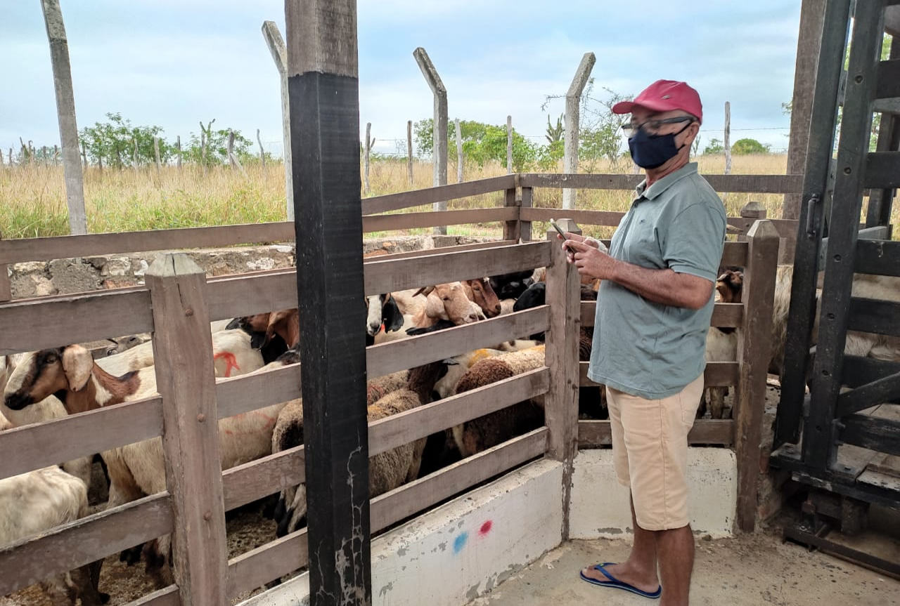 Pró-Semiárido e o Bahia Produtiva