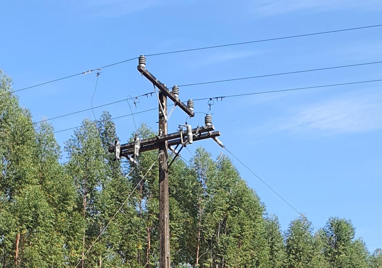 Rede elétrica é um risco real de fogo na zona rural