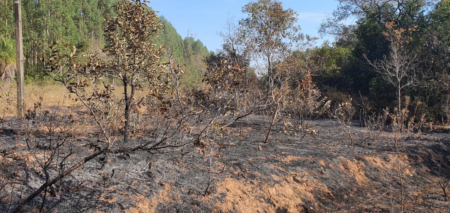 Rede elétrica é um risco real de fogo na zona rural