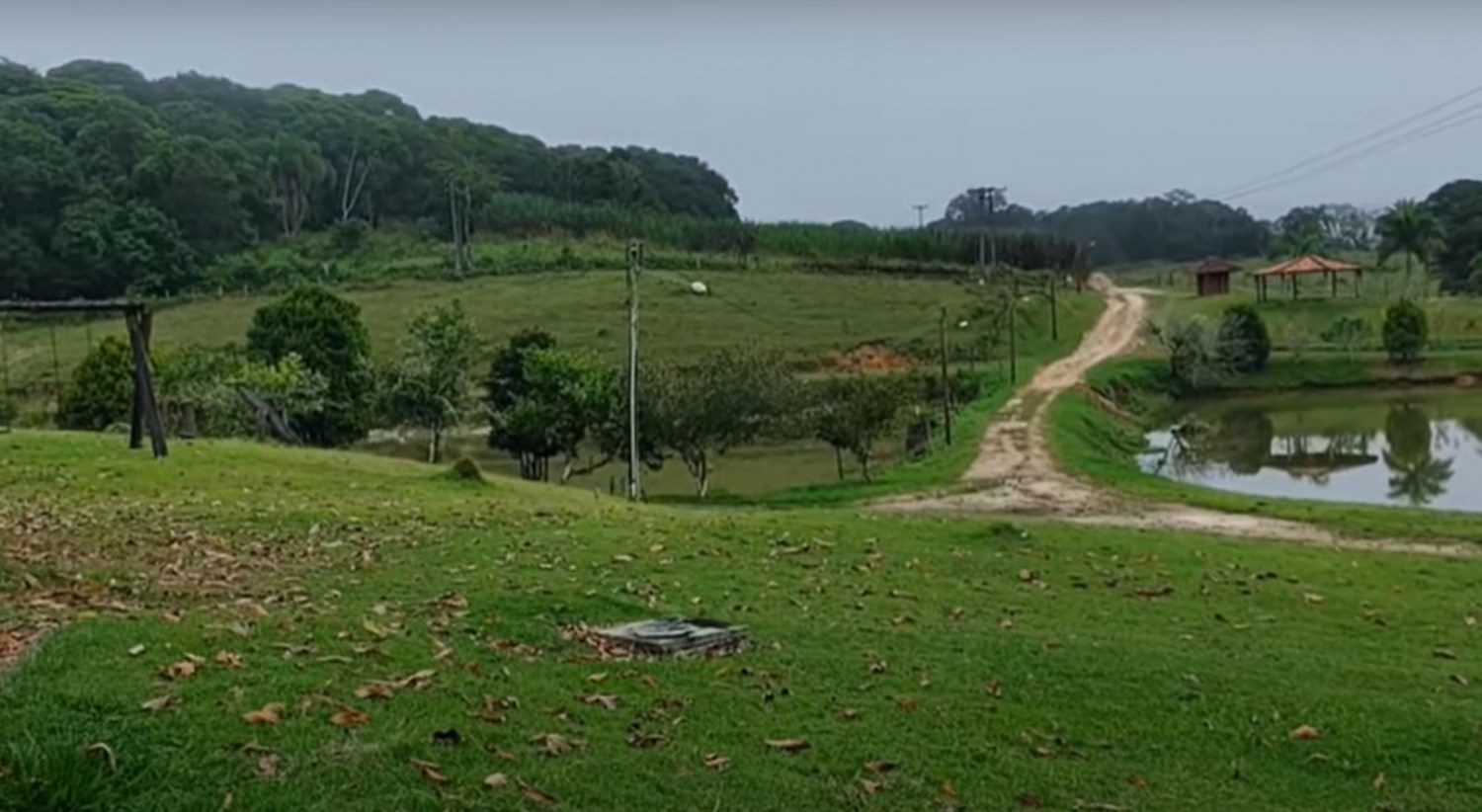 Pelé, melhor jogador do mundo, também foi Rei do Agro - CompreRural