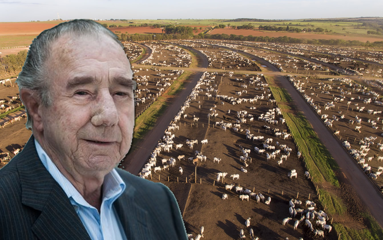 Vaca quebra recorde mundial com 216.891 kg de leite 7 JBS