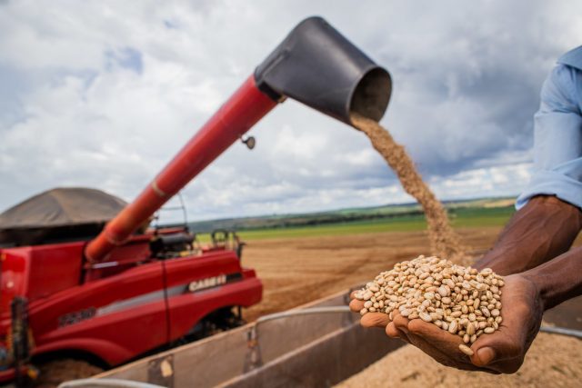 21/22: Quebra de safra e demanda impulsionam cotações - Compre Rural