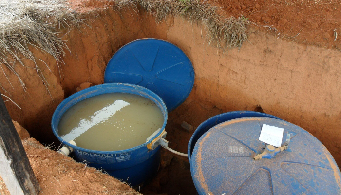 Menores perdas de água em ILPF - Photo: Gabriel Faria