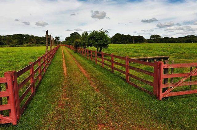 entrada de fazenda