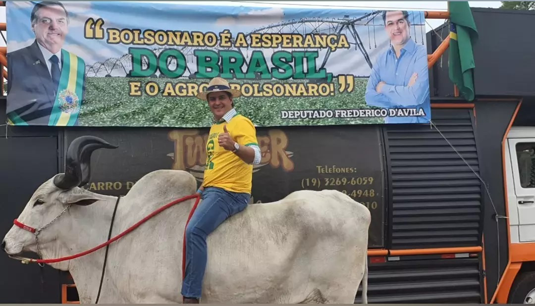 frederico davila montado em boi1