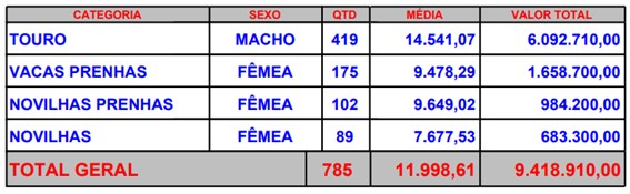 resultado leilao cv nelore mocho em 2020