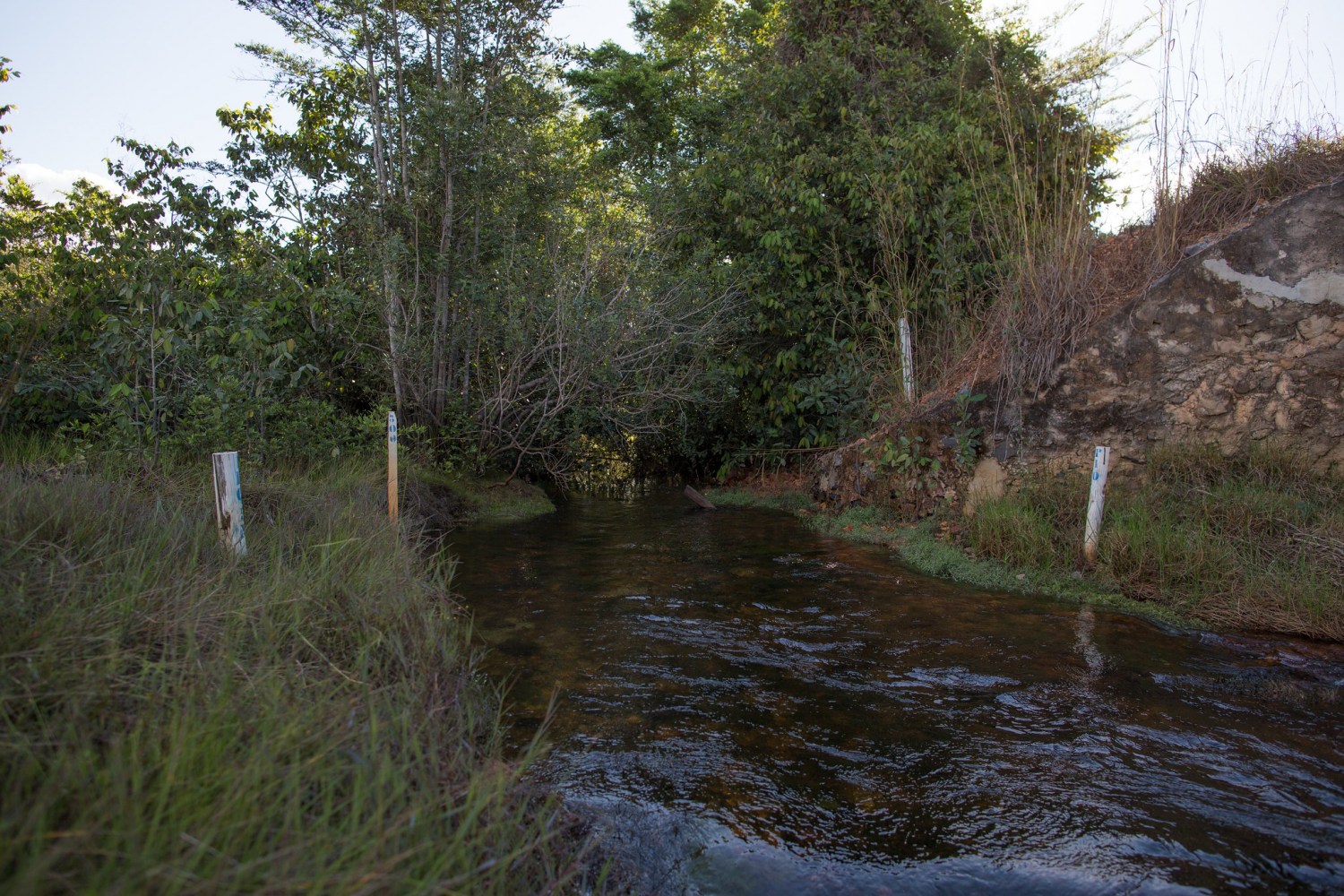 rio em fazenda corrego cerca mata