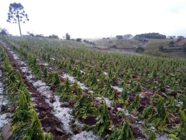lavouragranizo