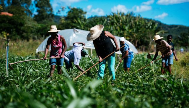 agriculturafamiliar