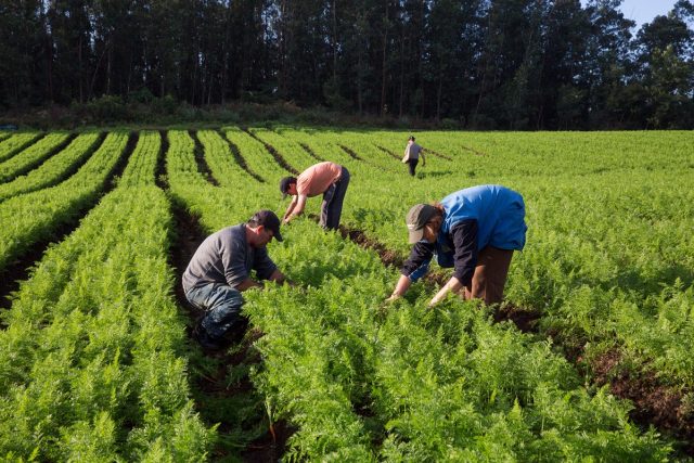 agriculturasustentavel