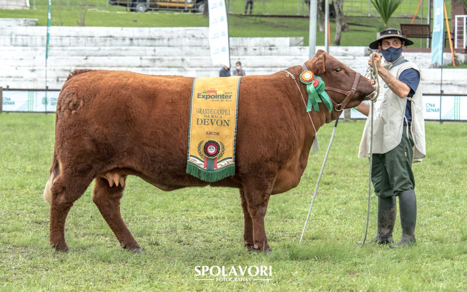 Fêmea Spolavori Fotografias