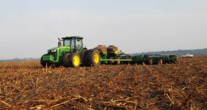 Gigante Bom Futuro inicia safra de soja em Mato Grosso