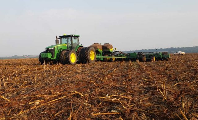 Gigante Bom Futuro inicia safra de soja em Mato Grosso Gigante Bom Futuro inicia safra de soja em Mato Grosso