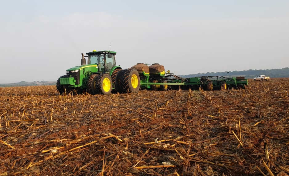 Gigante Bom Futuro inicia safra de soja em Mato Grosso