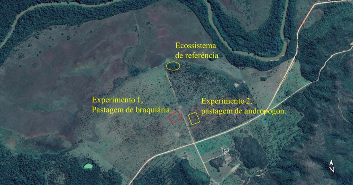 Localização dos experimentos e do ecossistema de referência da área experimental – Foto: Imagem Google / CNES/Airbus, Maxar Technologies