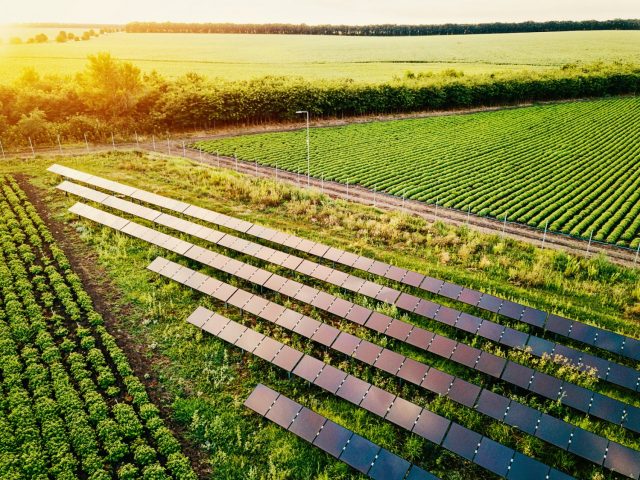 sustentabilidade