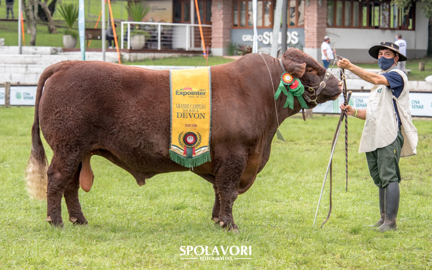 Touro Spolavori Fotografias