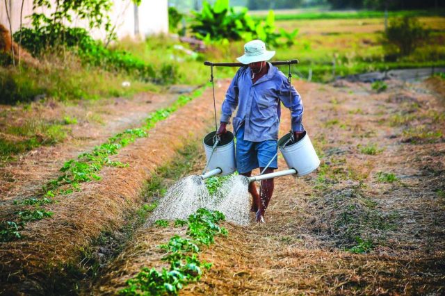 agriculturafamiliar