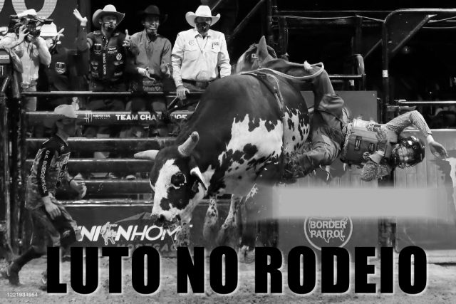 AMADEU CAMPOS